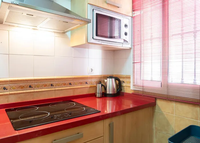 Apartament Alohamundi Duenas *
